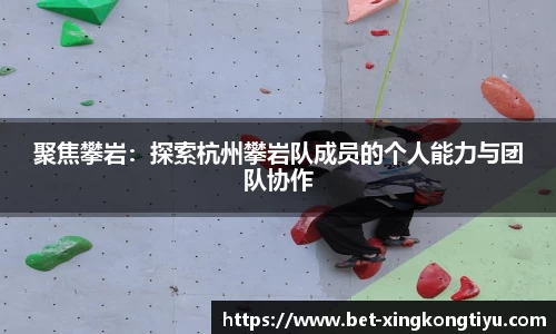 聚焦攀岩：探索杭州攀岩队成员的个人能力与团队协作