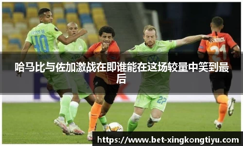哈马比与佐加激战在即谁能在这场较量中笑到最后